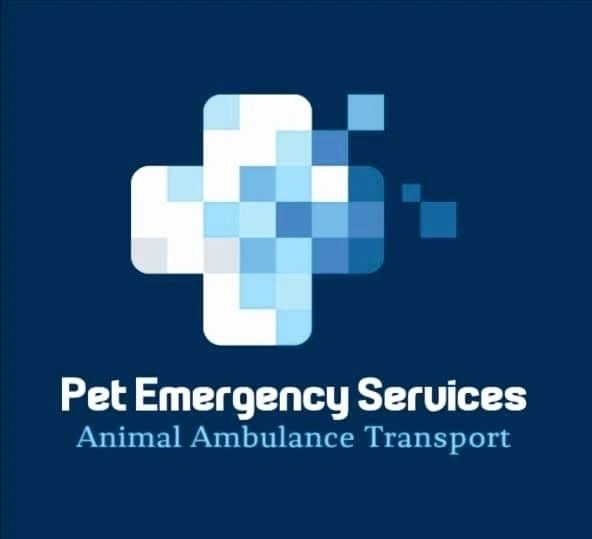 Pet Emergency Response Ambulance